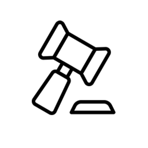 Participation in Electricity Sector Auctions